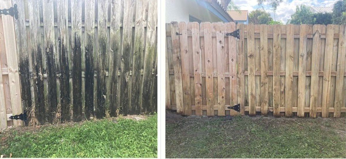 Before and after of a wood fence with heavy algae growth professionally restored to natural color