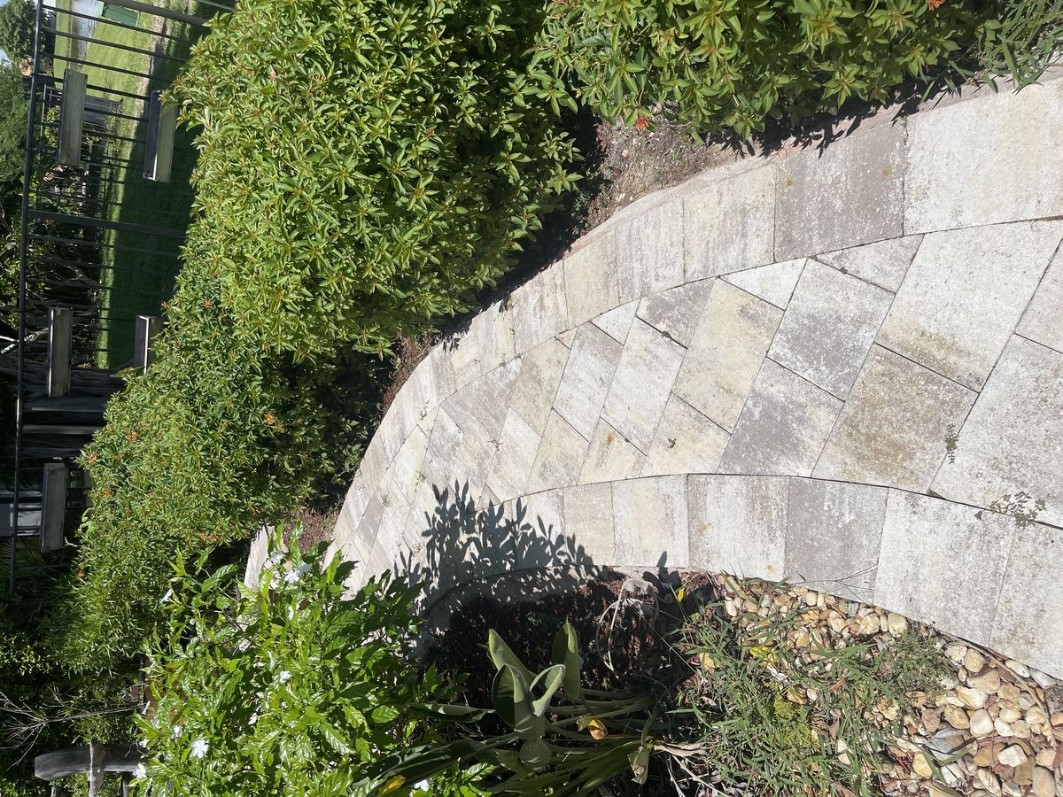 Curved paver walkway with algae buildup in a South Florida lakefront home