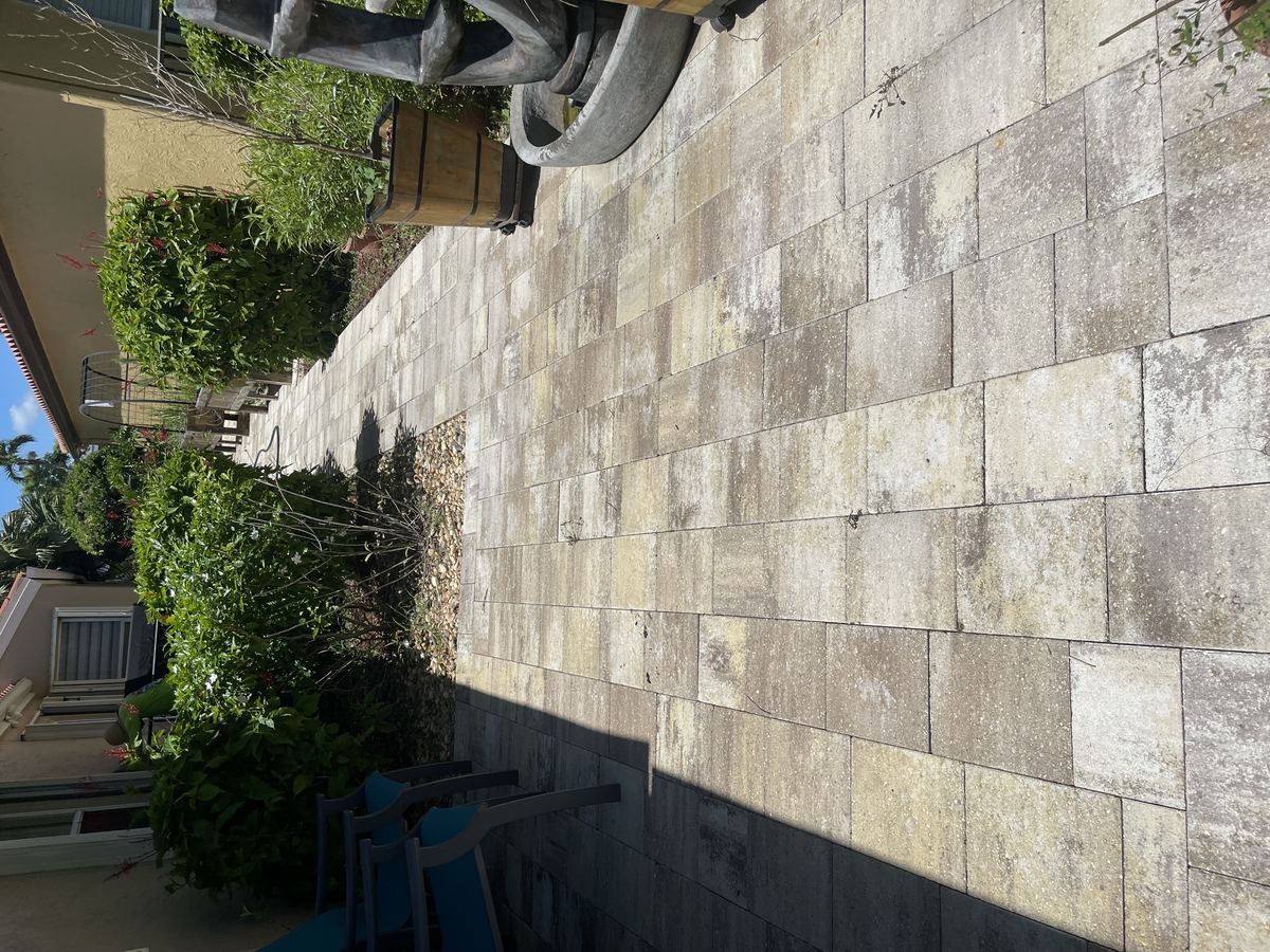 Heavily soiled paver walkway with organic staining between South Florida homes