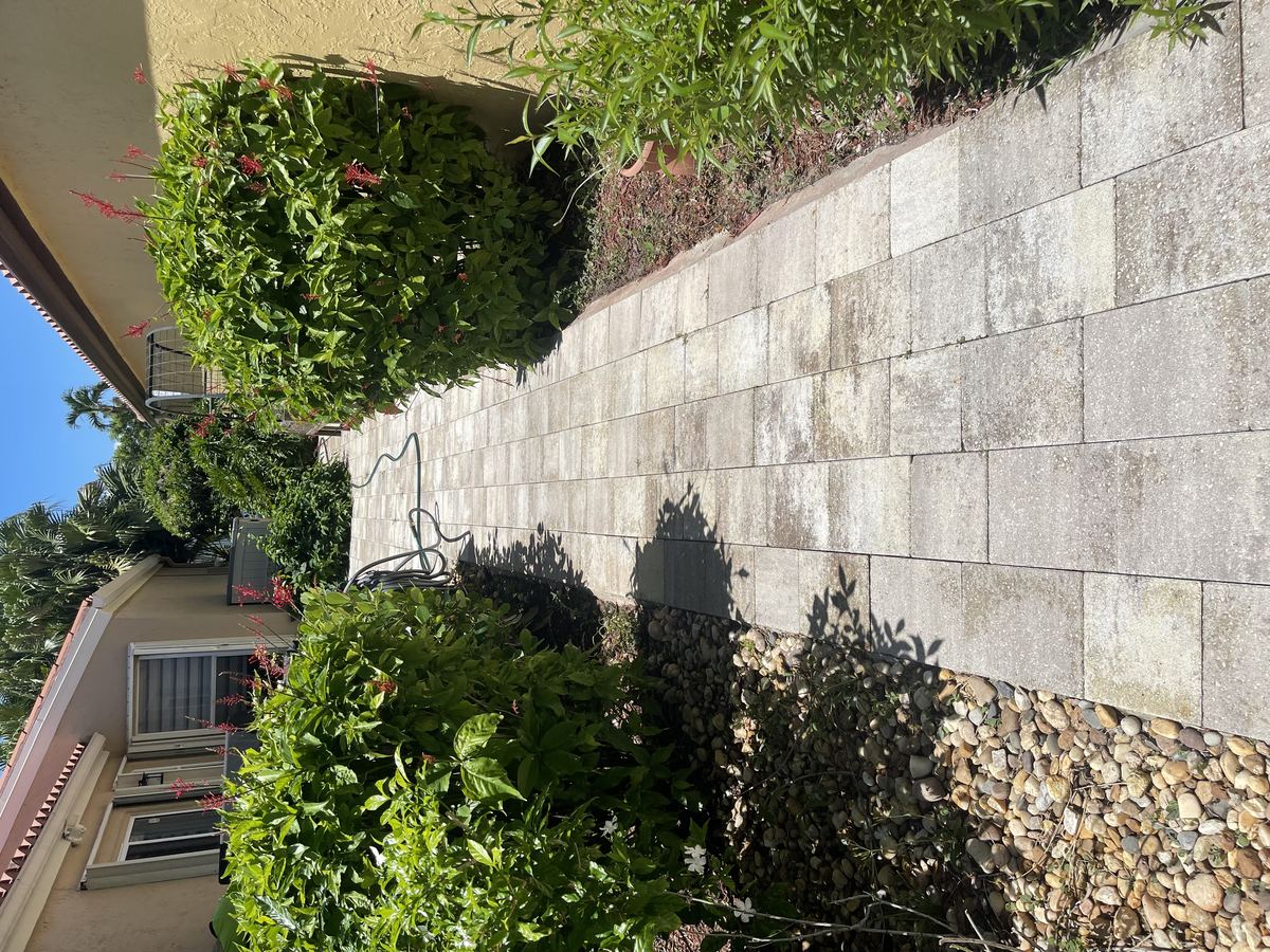 Long paver pathway with mildew and weathering on the side of a Florida home